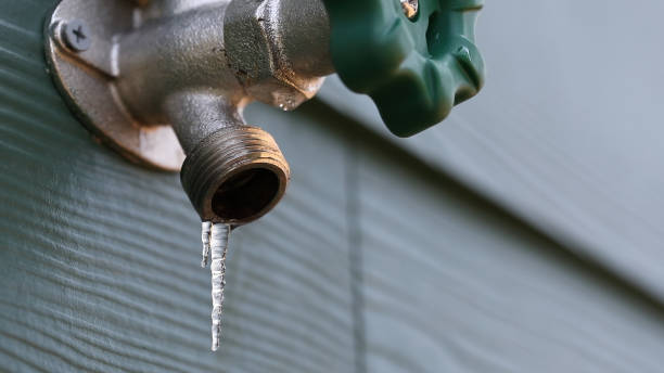 Best Clogged Drain Plumber  in Fishhook, AK